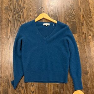 Everlane Deep Blue V-Neck Sweater